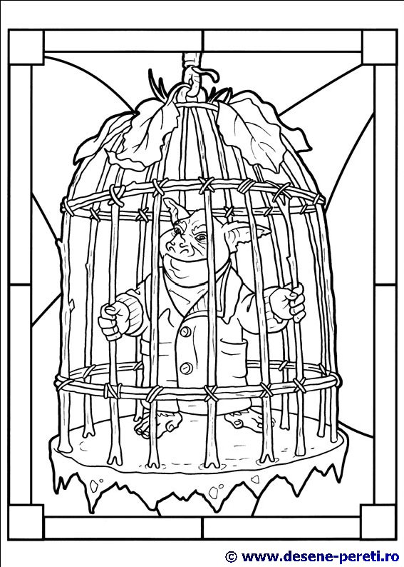 spiderwick desene colorat